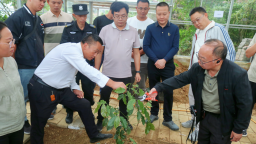 贵阳种下2025年贵州省第一棵咖啡树 弥补咖啡产业种植端空白