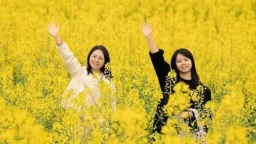 贵州正安：“花事”繁盛处 经济“开花”时