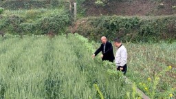 贵州修文六广镇：践行“领导联村、部门包村、干部到村”机制 树立正确政绩观