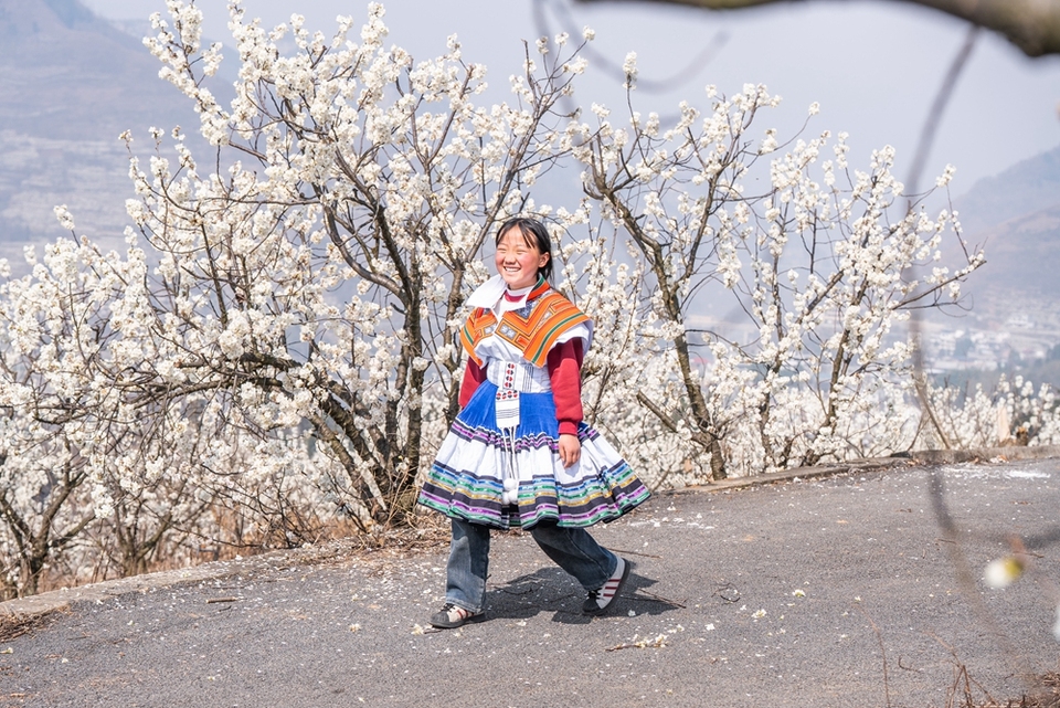 贵州毕节：踏春赏花正当时_fororder_2025年3月2日，游客在贵州省毕节市纳雍县厍东关乡陶营村樱花园里游玩赏景 (2)