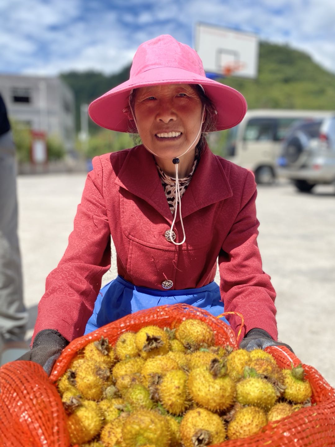 贵州刺梨：一枚野果的“浪浪山”突围记