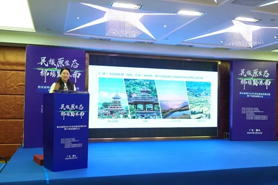黔东南景区营销联动走进大湾区 系列奖补政策引关注_fororder_640 (1)