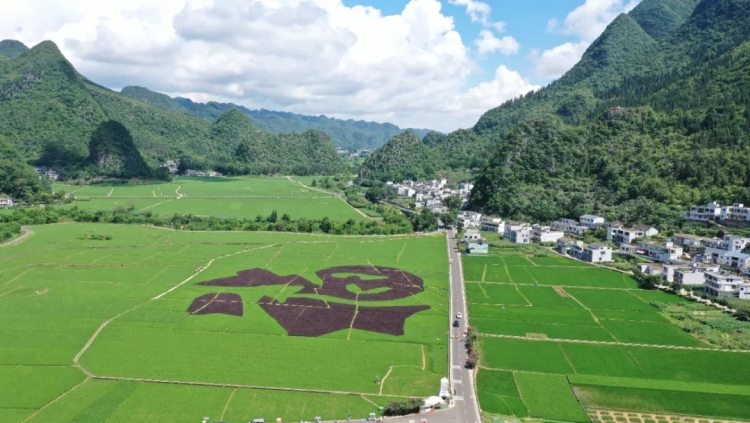 兴义万峰林：避暑游玩的清凉胜地
