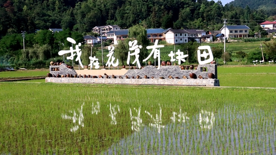 贵州遵义花茂村：打造花繁叶茂和美乡村新样板_fororder_图片1