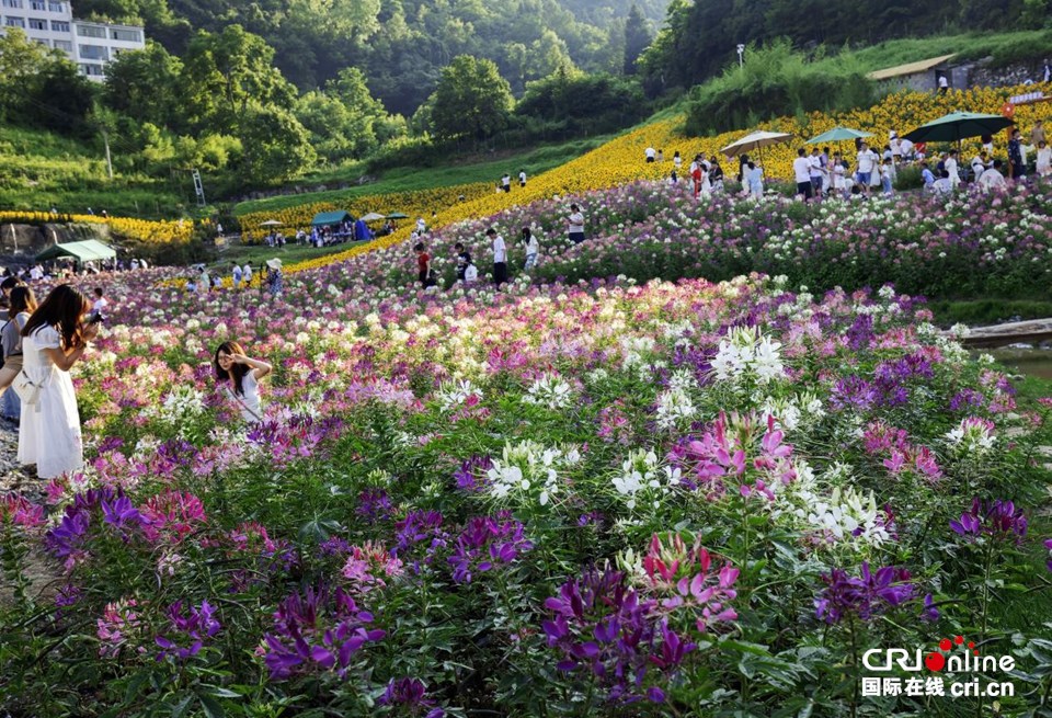 贵州六盘水：避暑宾客瑶池明湖花海乐园话清凉_fororder_86aba7d7a06c40fa982bca62db202513.960x655