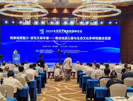 中外专家展开深度对话 共商地质公园建设之道_fororder_地质公园