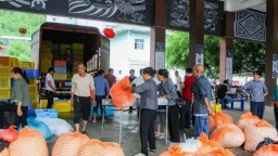 贵州罗甸：第三批蚕茧集中上市 丰产增收织就“新丝路”