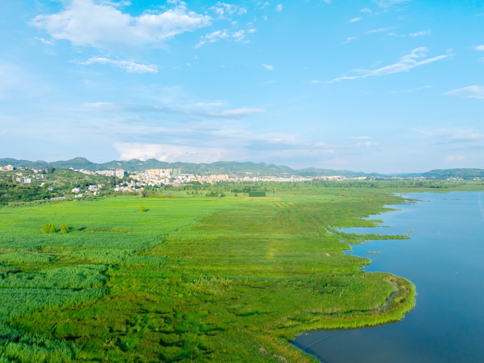 贵州威宁草海17℃“凉”方 生态活力引游客打卡_fororder_7月30日，草海的绿与远处的城市相连+管庆巍  摄+18908571373 +2025年7月30日拍摄于威宁草海