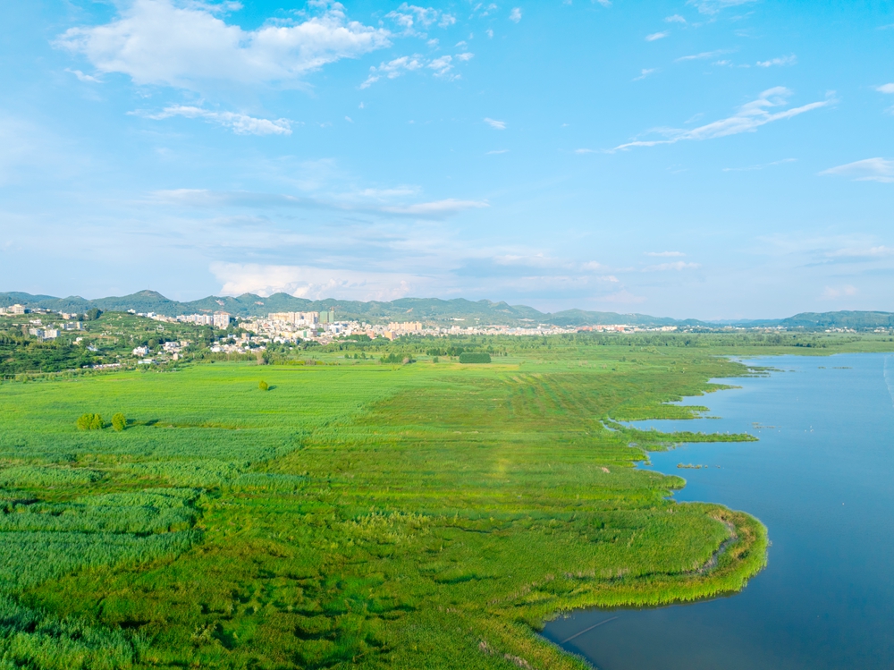 贵州威宁草海17℃“凉”方 生态活力引游客打卡_fororder_7月30日，草海的绿与远处的城市相连+管庆巍  摄+18908571373 +2025年7月30日拍摄于威宁草海