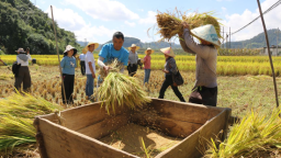 六盘水市六枝特区举办2025年农民丰收节活动