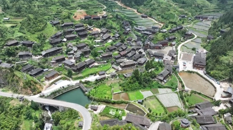 田畴沃野绘“丰”景 “农”墨重彩谱新篇——黔东南州“十四五”时期农业农村发展亮点综述