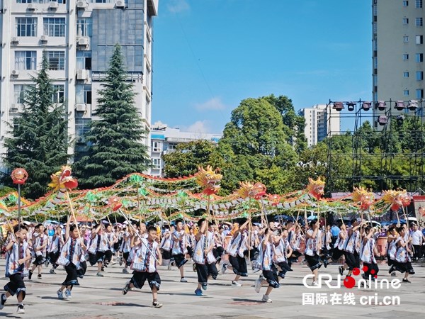 第十届贵州·平塘民间水龙文化旅游节开幕 邀您共赴夏日狂欢_fororder_少年龙