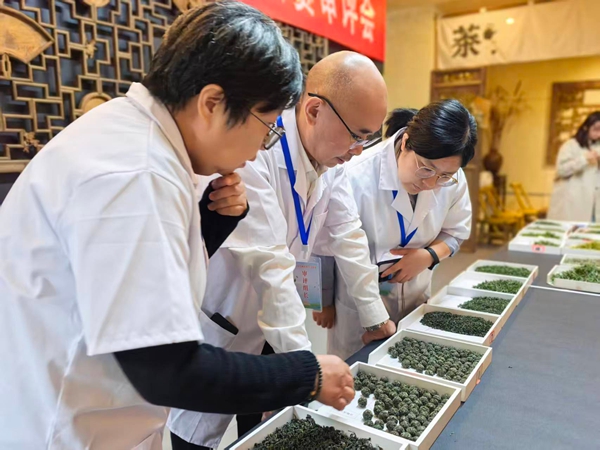 2025年贵州省秋季斗茶赛专家审评会启幕_fororder_专家看茶样的形状