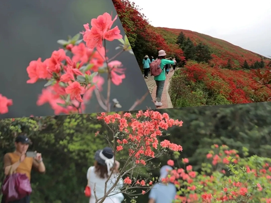 黔东南州“五一”文旅市场“火力全开”_fororder_640