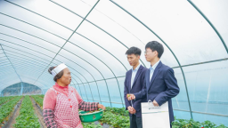 精准赋能 一业一策 邮储银行贵州省分行金融“组合拳”助力特色农业腾飞