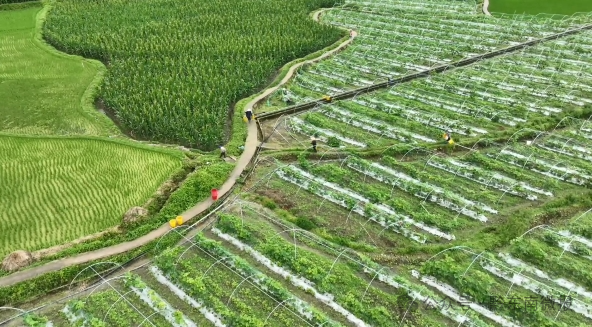 田畴沃野绘新景 —— 新中国成立75周年黔东南州农业发展成就综述