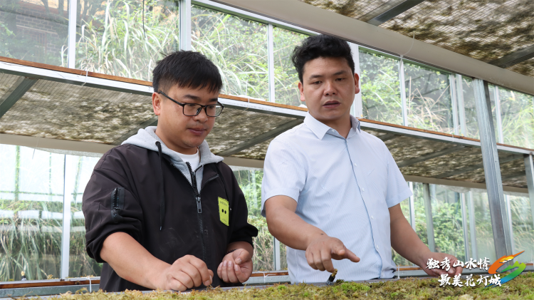劳动者之歌 | 以初心为墨，书写紫林山村发展篇章——记“贵州省劳动模范”韦世贵_fororder_17470764304276