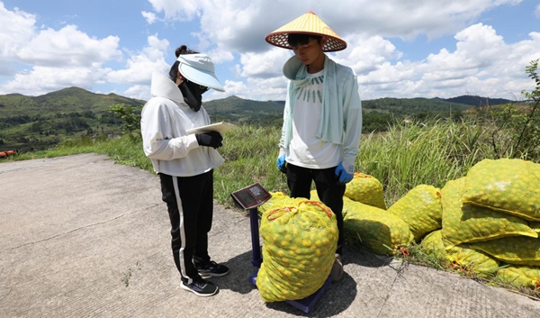 贵州独山：持续推进刺梨产业高质量发展_fororder_3