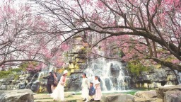 花漾贵州上春山