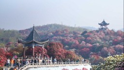 贵州春日“花经济”业态多消费旺