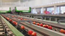 抢“鲜”出海，贵州特色农产品出口势头强劲