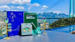 花江峡谷大桥获中国旅游投资艾蒂亚奖金奖