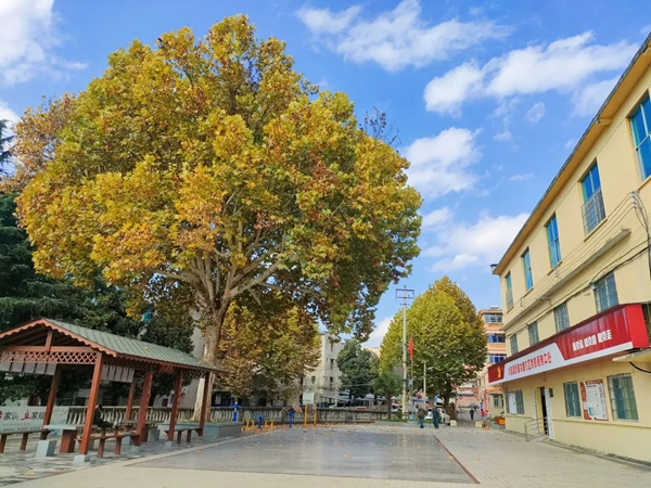 贵州都匀:织密民生保障网,托起群众“稳稳的幸福” 贵州都匀:织密民生保障网,托起群众“稳稳的幸福”_fororder_7