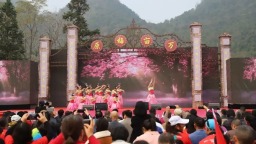 “马踏春风·美‘荔’相约” 第二十一届荔波万亩梅花报春季活动开幕