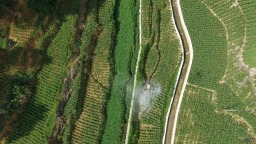 贵州仁怀：空中守护助夏管 科技赋能保粮丰