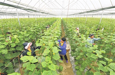 同心共绘幸福画卷 ——写在黔南布依族苗族自治州成立69周年之际
