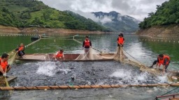 贵州罗甸凤亭乡：生态渔业铺就富民振兴路