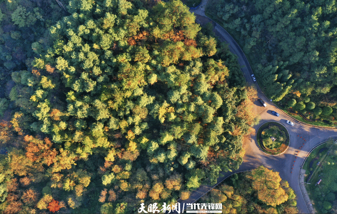 守好“两条底线” 拓宽“两山”转化路|“转”出美丽贵州新风采 守好“两条底线” 拓宽“两山”转化路|“转”出美丽贵州新风采