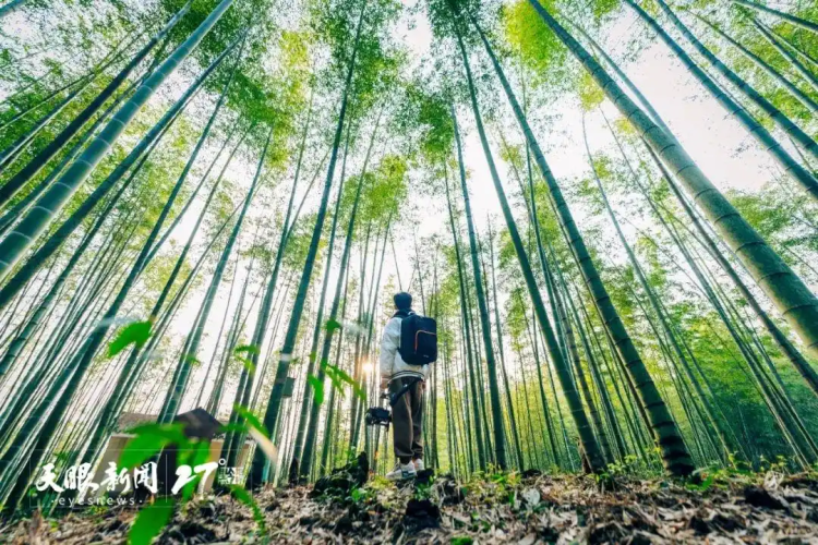 “公园省”成为天然疗愈场｜贵州避暑康养产业升级