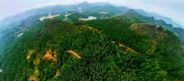 现在出发！避暑就来贵阳：【一村一景】靛山村（上）：春日秘境 到暮光森林·邂逅你的 “阿勒泰”