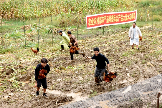 2025年中国农民丰收节六盘水主会场活动在钟山区举行_fororder_DSC_8356.JPG