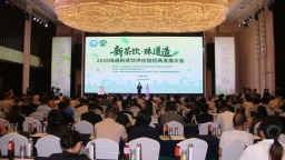 珠遵协作三年成绩单出炉 遵义新茶饮产值突破10亿元