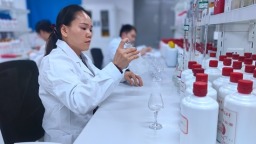 贵州仁怀：以码立质 以价惠民 产区金字招牌持续擦亮