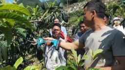 贵州荔波：“果园微课堂”助力果农增收
