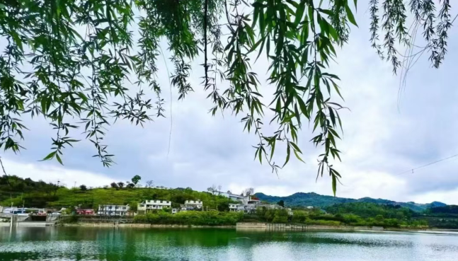 现在出发！避暑就来贵阳：【一村一景】靛山村（上）：春日秘境 到暮光森林·邂逅你的 “阿勒泰”