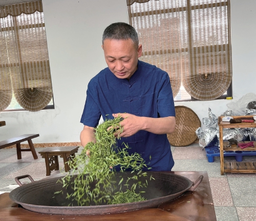 枝头绿意浓　产业“成色”足——贵州省都匀市国家现代农业产业园培优新主体引领茶产业发展_fororder_wKhqDmhDNn6ANSctAAMa0qJ67PI628