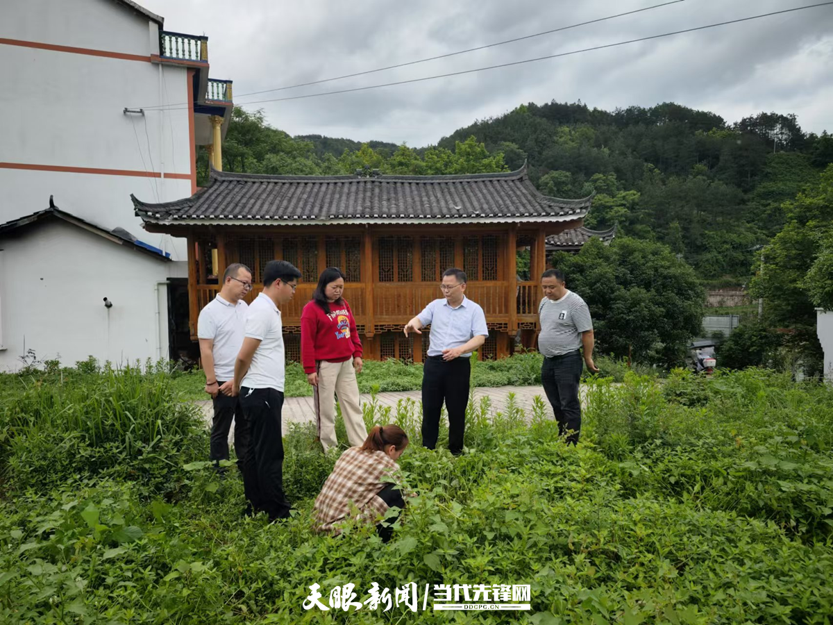 镇远县政协委员“五个一”落实高质量履职
