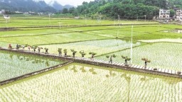 确保各地“建好田 好建田”——贵州高质量建设高标准农田
