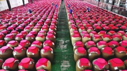 贵州省黔东南州以产业集群之力赋能高质量发展走笔