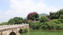 黄果树镇石头寨村：青山叠翠揽客至 碧波清流入画来