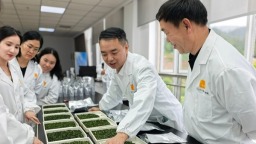贵茶集团举行2026年碾茶集中审评观摩活动