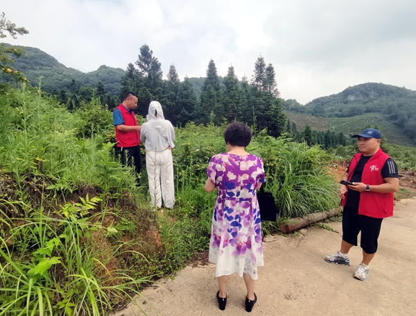 贵州清镇：刺梨喜获“百万订单” 80余户农户增收有保障​_fororder_采摘刺梨样品（汪国友 摄）