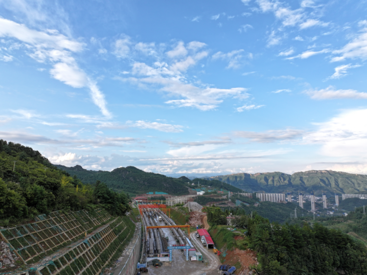 来自安盘高速建设工地的报道丨巨龙穿越“花木树”