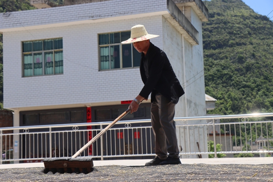 贵州独山县：油菜丰收 产业振兴_fororder_20250513131641-Q18Pck-