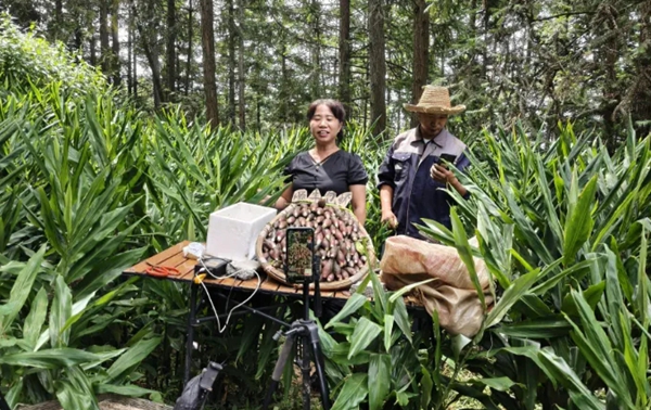 贵州六枝：电商赋能黔货出山 致富大道越走越宽_fororder_1_副本