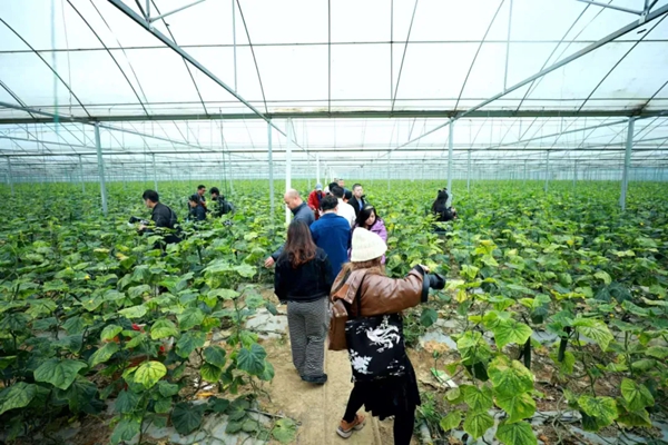 粤贵花开在黔南 | 广黔协作赋能龙里农业产业升级_fororder_2